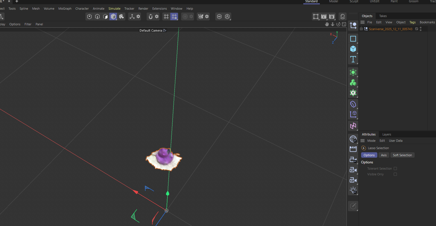 Activity 2 Scaniverse and Cinema 4D proccess work